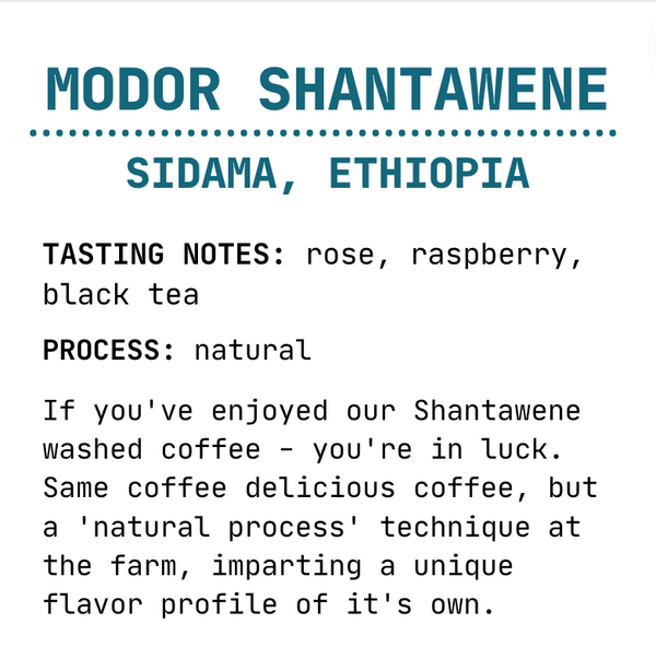 Modor Shantawene - Natural - Marigold Coffee