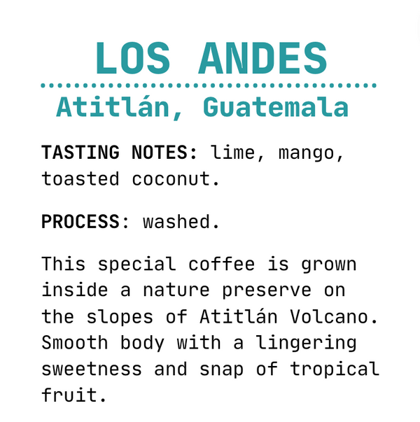 Finca Los Andes - Marigold Coffee