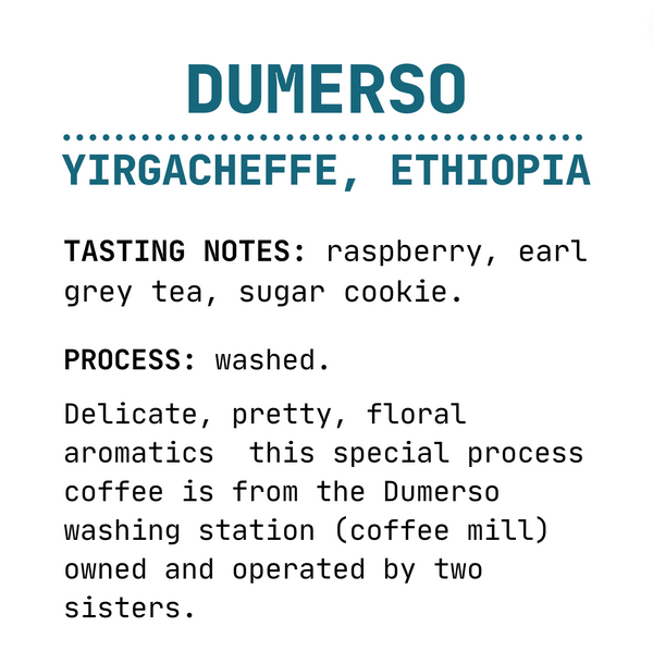 Dumerso - Yirgacheffe - Marigold Coffee