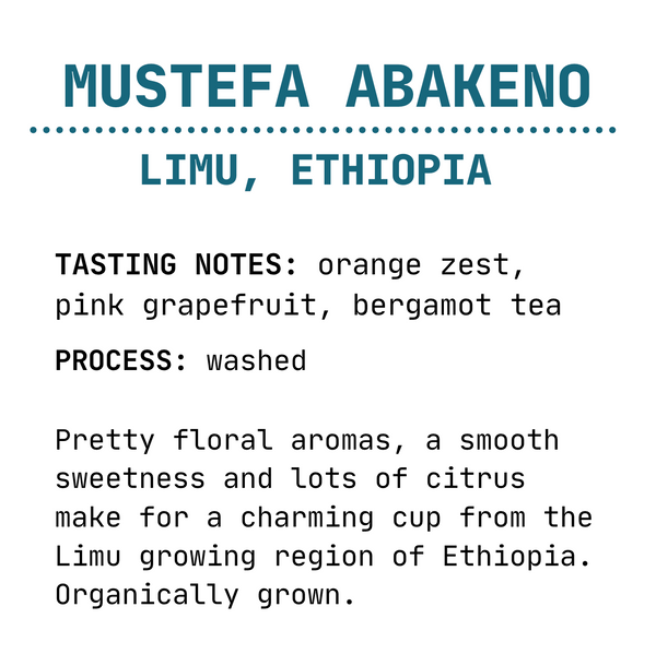 Mustefa Abakeno