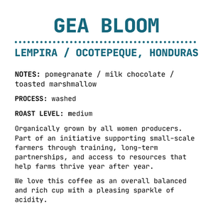 Gea Bloom