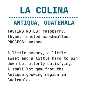 La Colina - Marigold Coffee