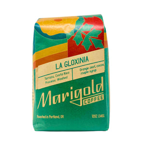 La Gloxinia - Marigold Coffee
